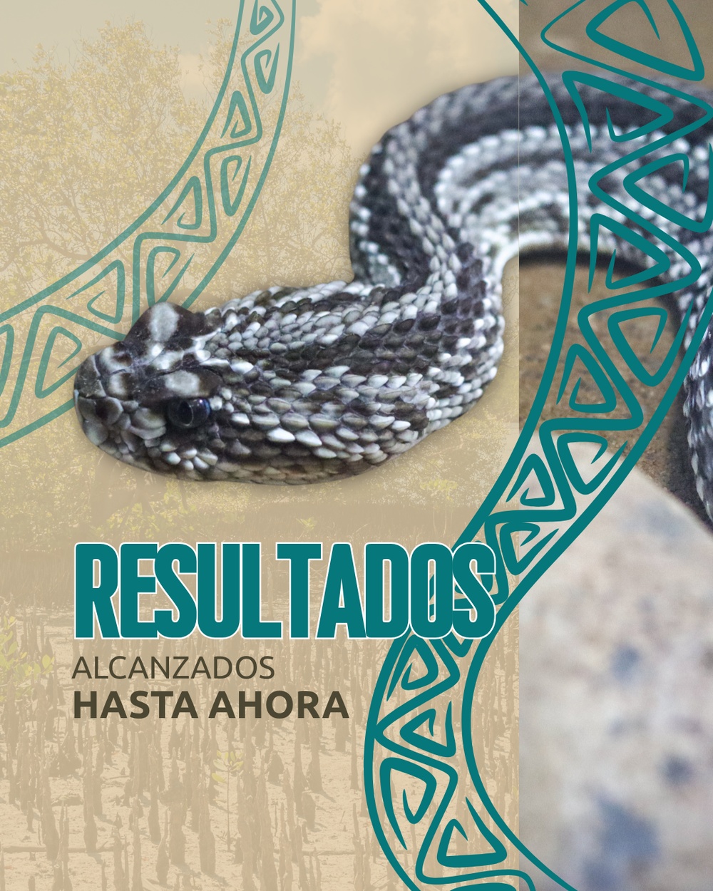 Slide 1 infografía 3